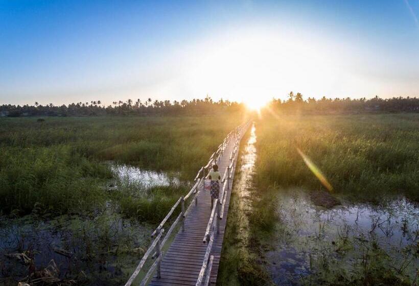 ホテル Sava Dunes