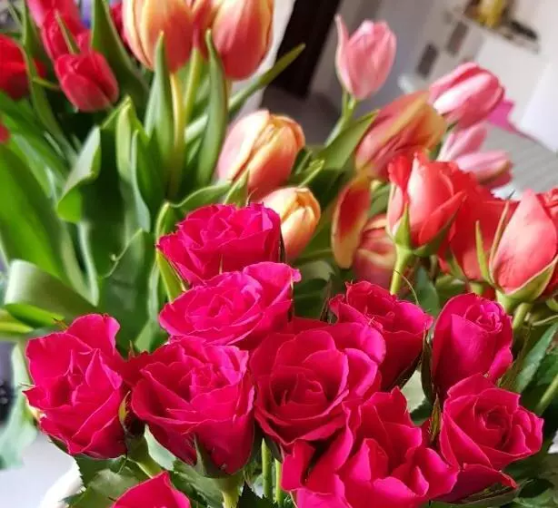 Hotelli Terry's House