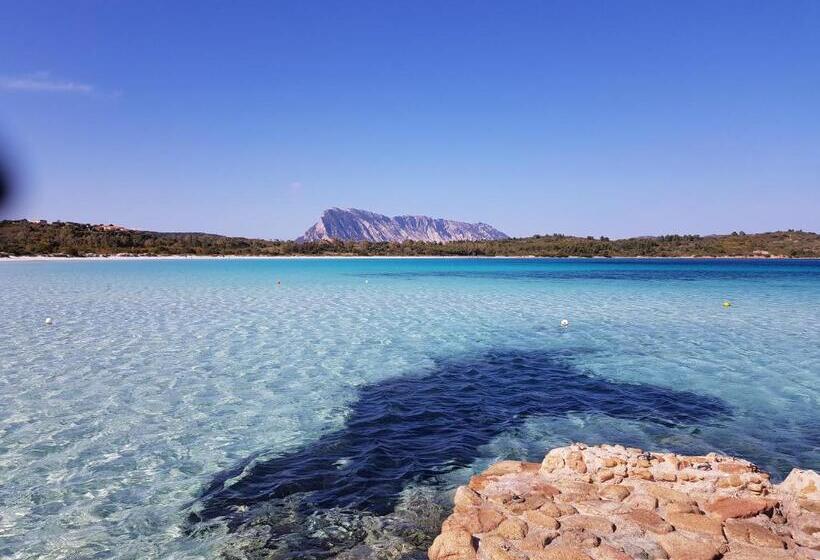 호텔 Terry's House