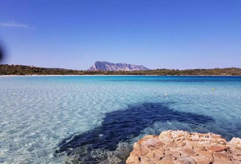 Hotelli Terry's House