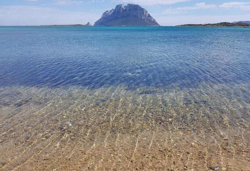 호텔 Terry's House