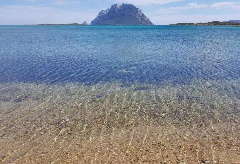 Hotelli Terry's House