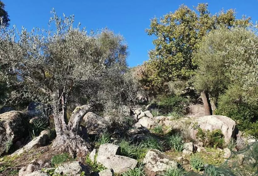 Hotelli Terry's House