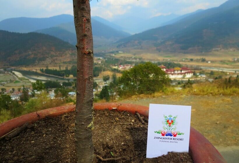 هتل Zhingkham Resort