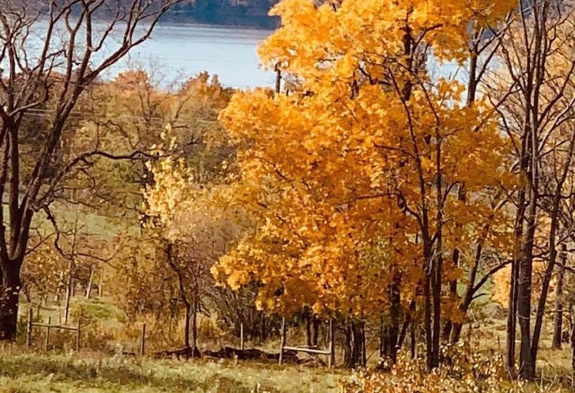 Magnolia Place Bed & Breakfast