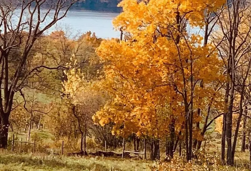 Magnolia Place Bed & Breakfast