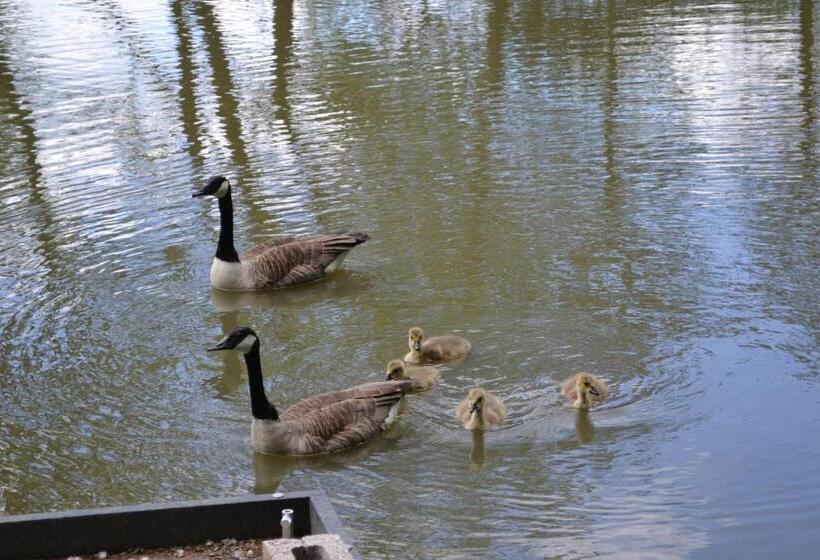 The Chiltern Lodges At Upper Farm Henton