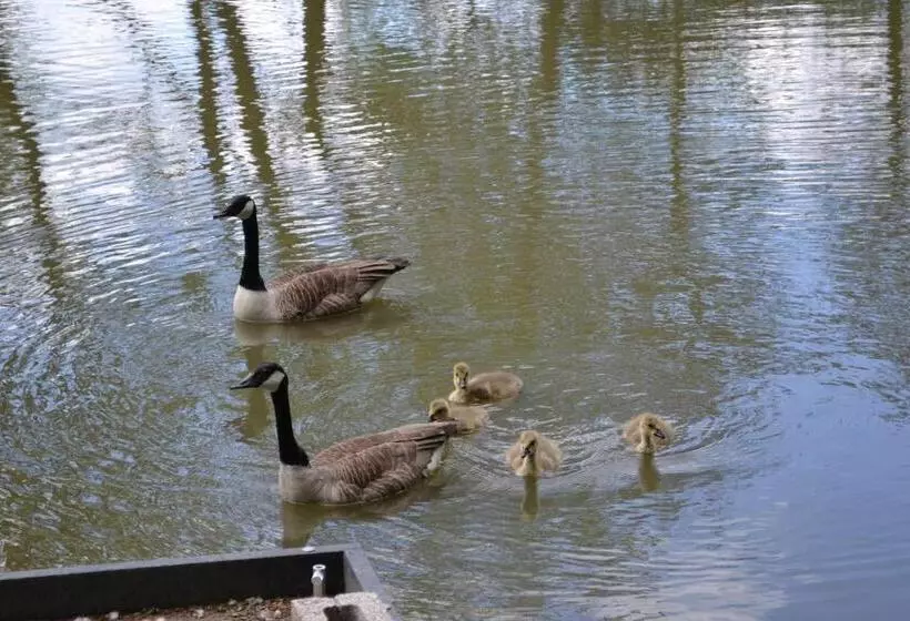 The Chiltern Lodges At Upper Farm Henton