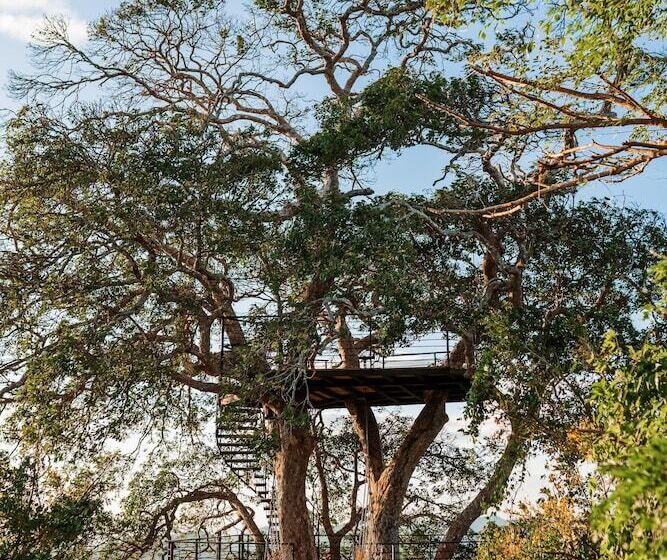 Treecasa Hotel & Resort