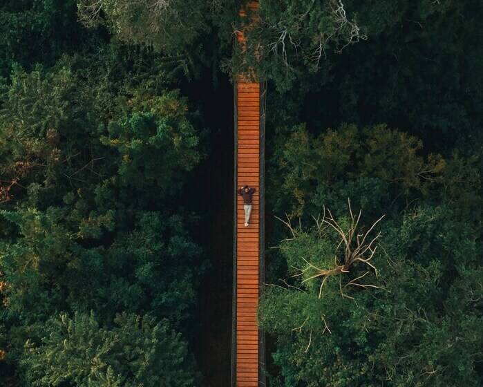 Treecasa Hotel & Resort