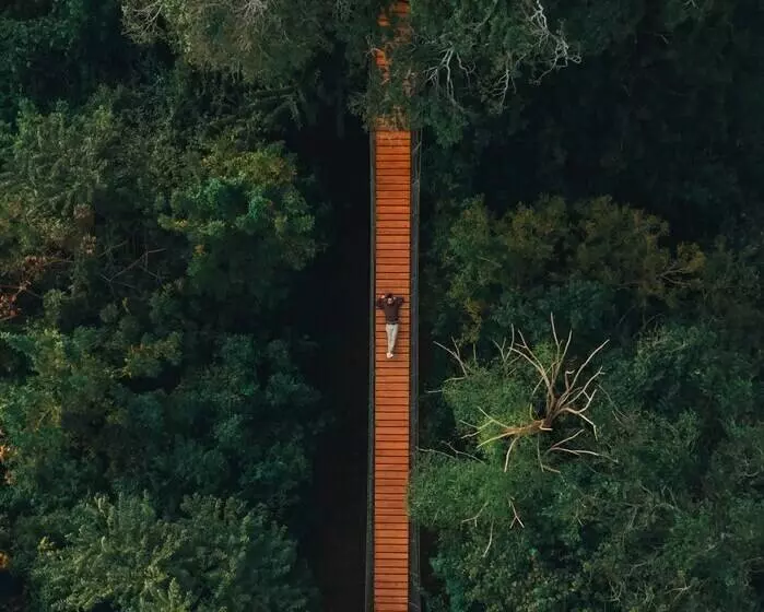 Treecasa Hotel & Resort