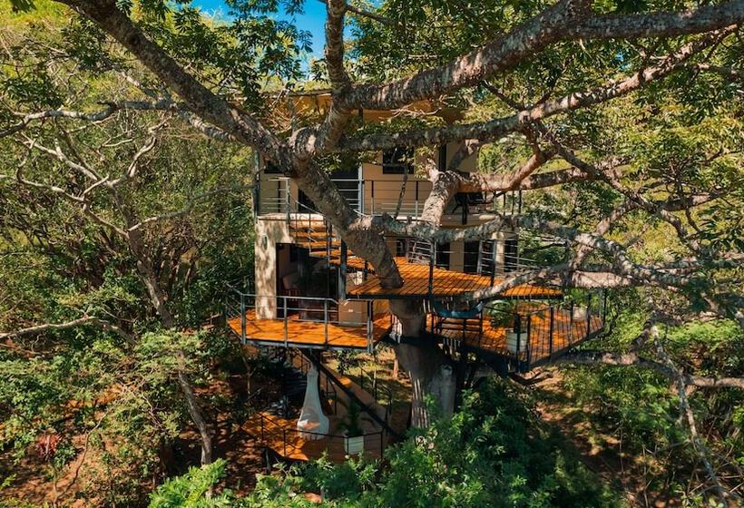 Treecasa Hotel & Resort