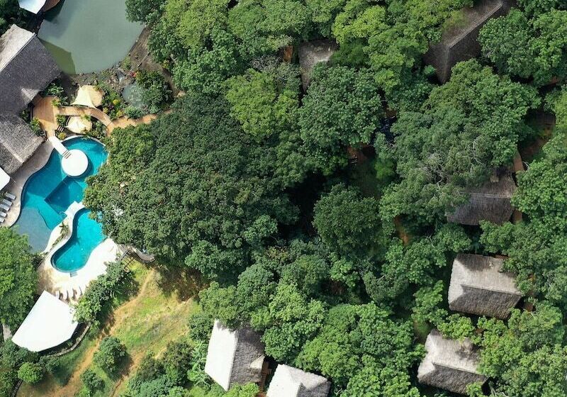 Treecasa Hotel & Resort