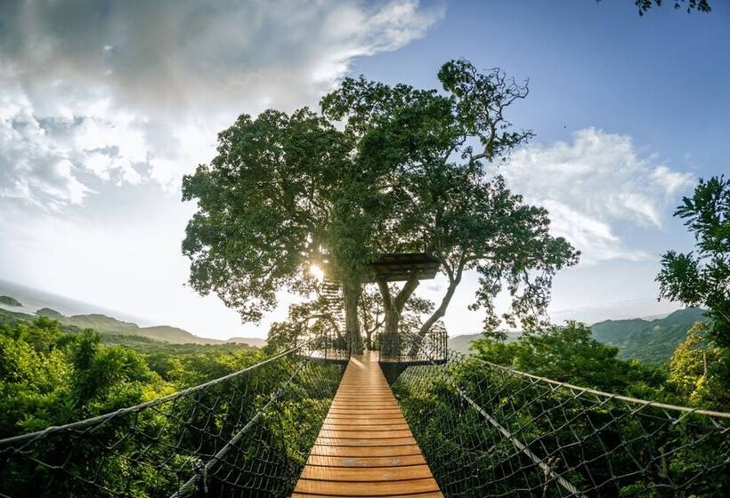 Treecasa Hotel & Resort