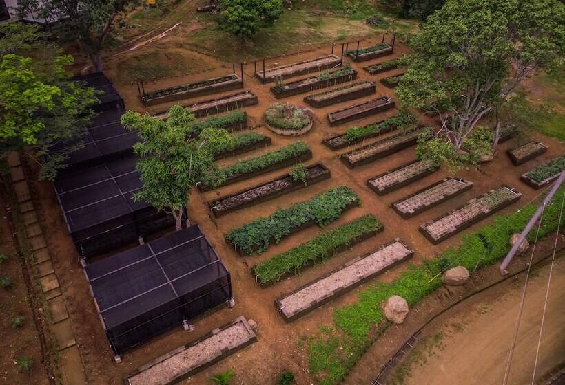 Treecasa Hotel & Resort