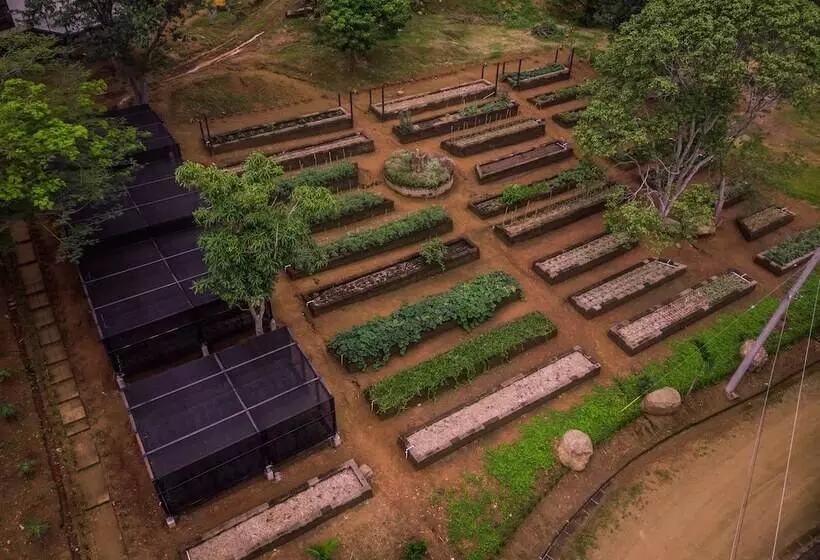 Treecasa Hotel & Resort