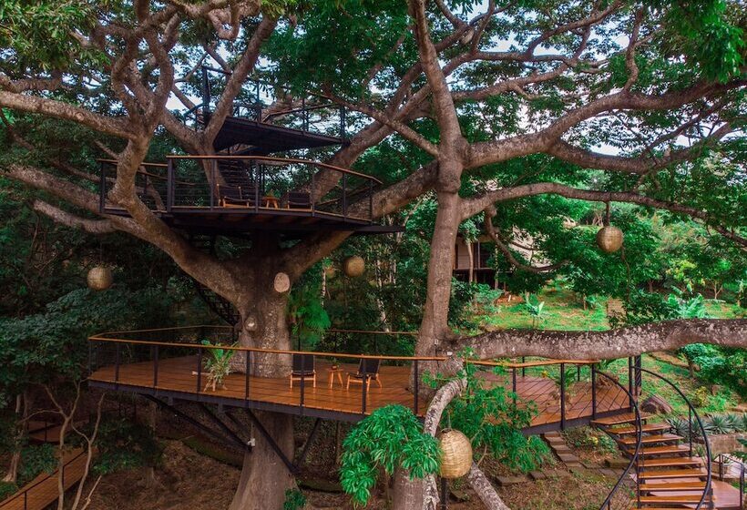 Treecasa Hotel & Resort