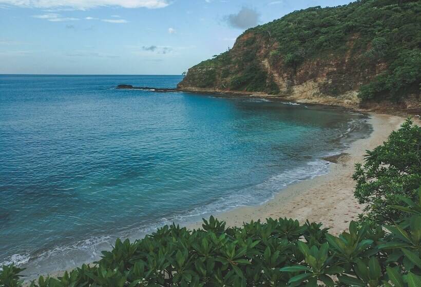 Treecasa Hotel & Resort