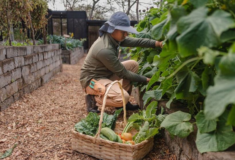 Treecasa Hotel & Resort