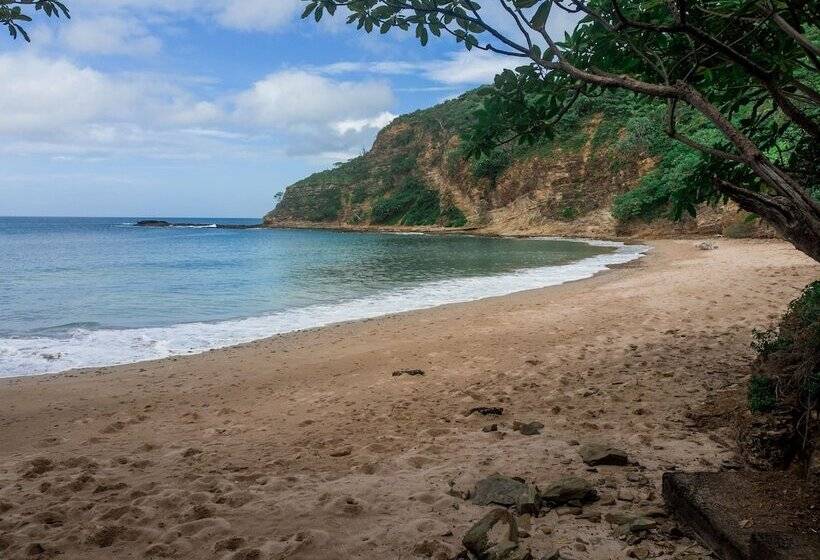 Treecasa Hotel & Resort