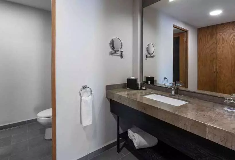 Tryp By Wyndham San Luis Potosi Hotel & Suites