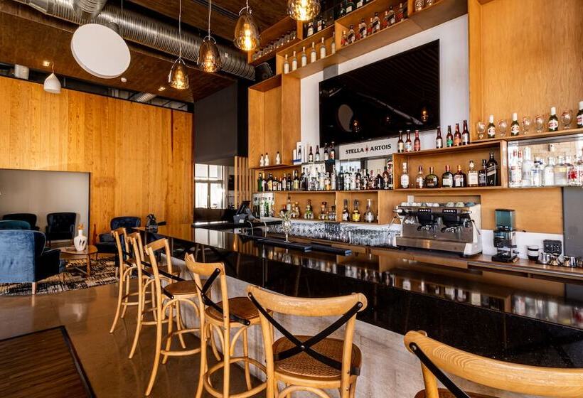 Tryp By Wyndham San Luis Potosi Hotel & Suites