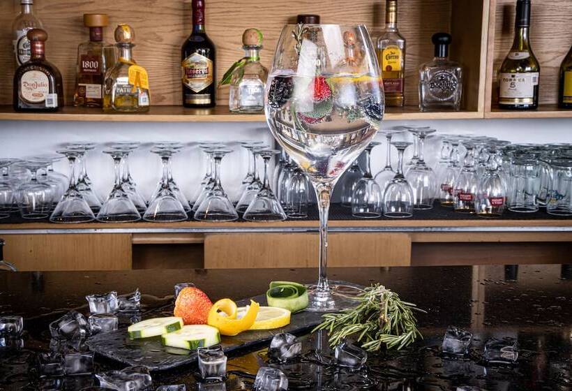 Tryp By Wyndham San Luis Potosi Hotel & Suites