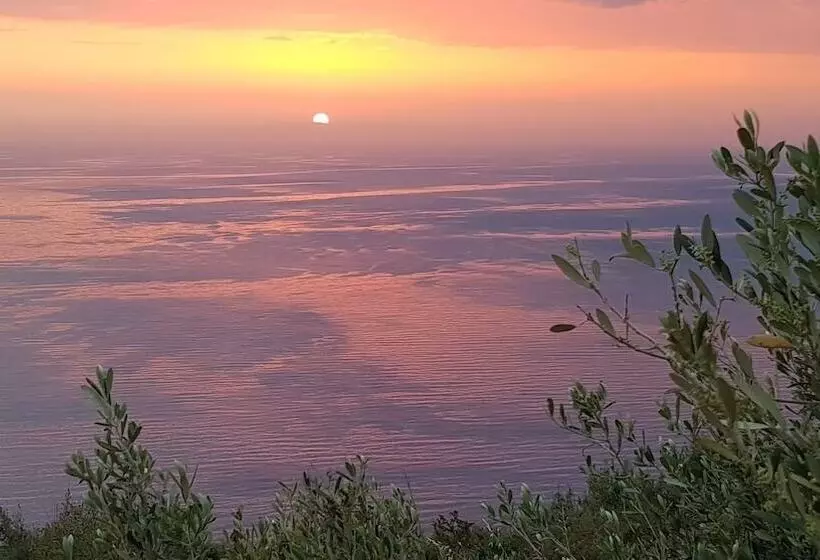 ホテル Bassa Maina Villas & Suites