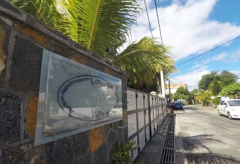 Lotus Villa Sun Apartment