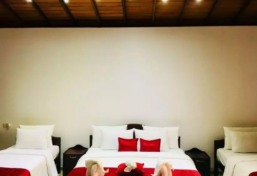 ペンション 8 Plus  Villa