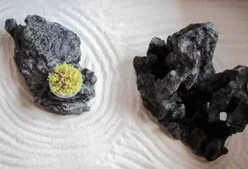 ペンション Jiuhua Mountain Banchumeisu Inn