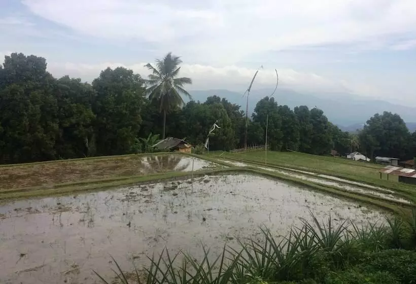 Majatalo Puri Sangkih