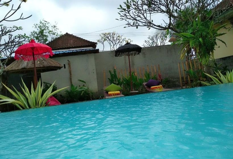 Panzió Svaha Guest House