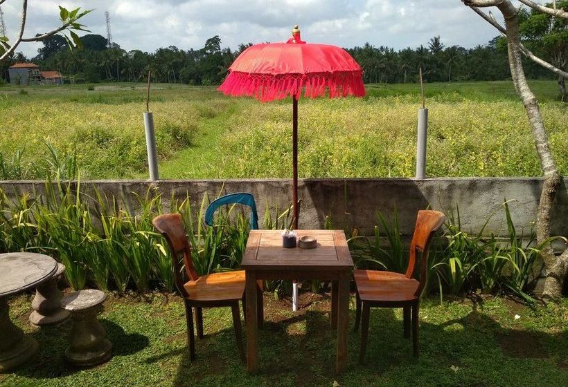 Panzió Svaha Guest House