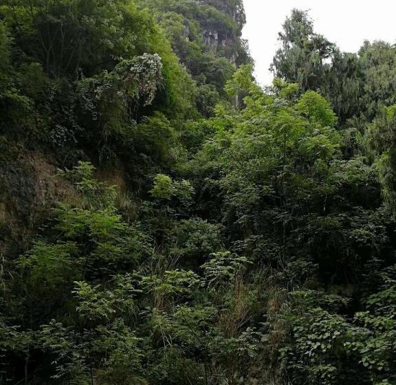 פונדק Shan Ju Ge Hotel Yangshuo