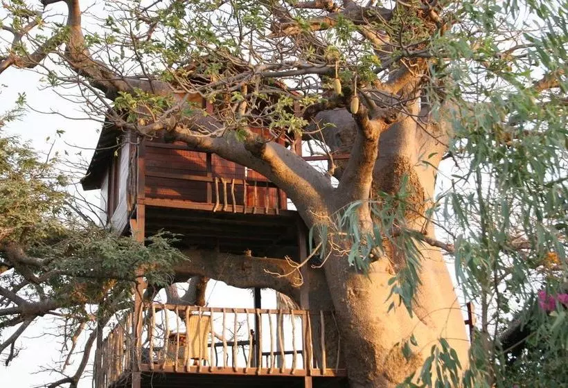 هتل Lodges Des Collines De Niassam
