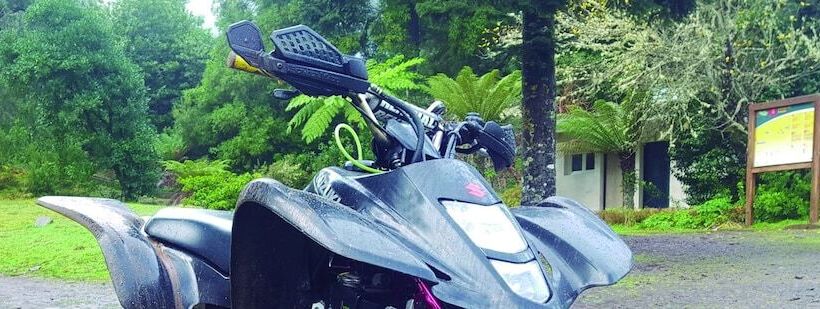 Отель Nature Inn Madeira   Glamping