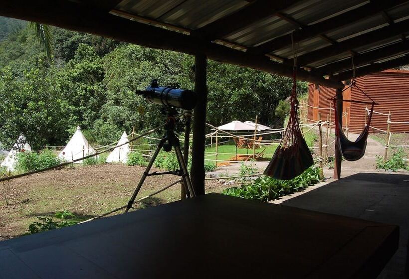 Отель Nature Inn Madeira   Glamping