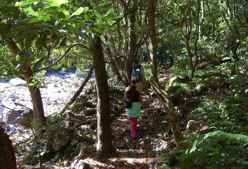 Отель Nature Inn Madeira   Glamping