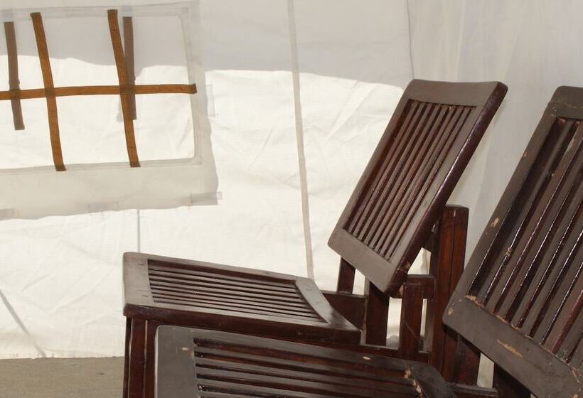 فندق Pangong Paradise