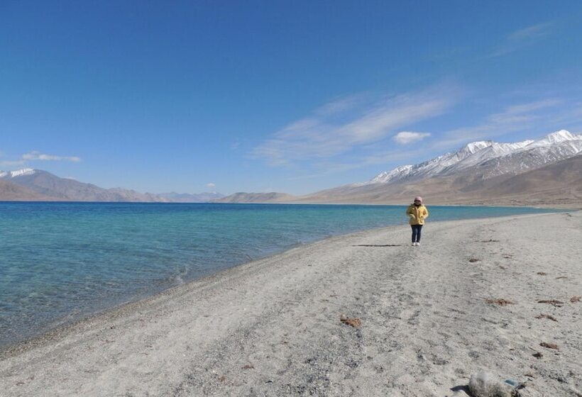 فندق Pangong Paradise
