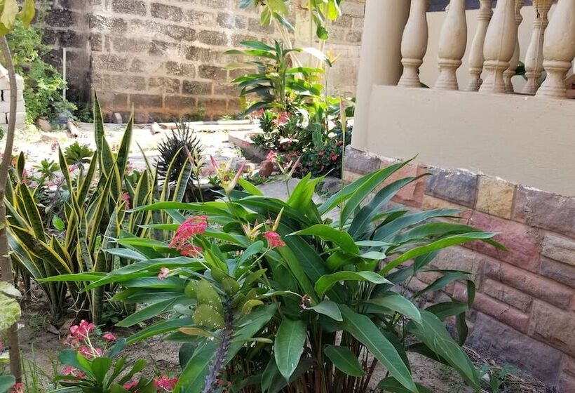 ホテル Tropical Nectar Apartment