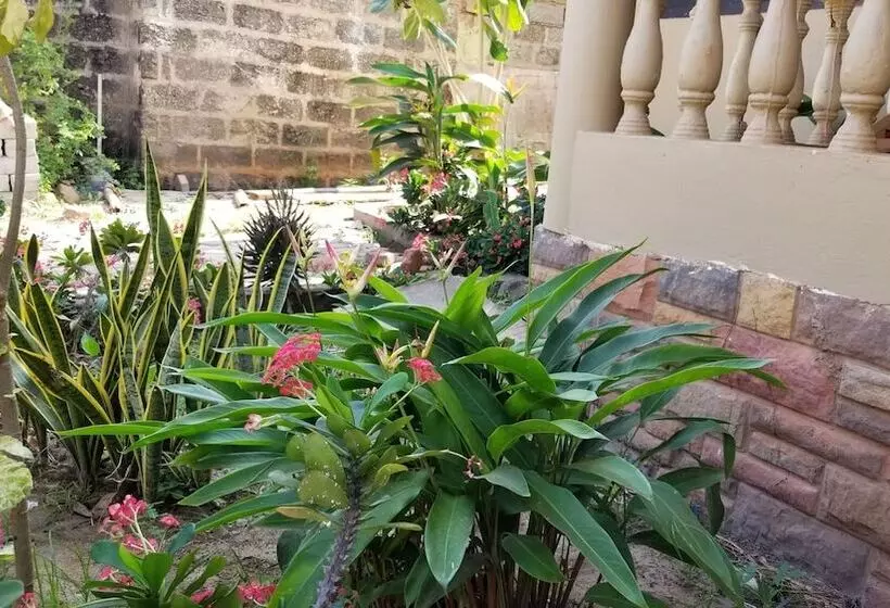 هتل Tropical Nectar Apartment