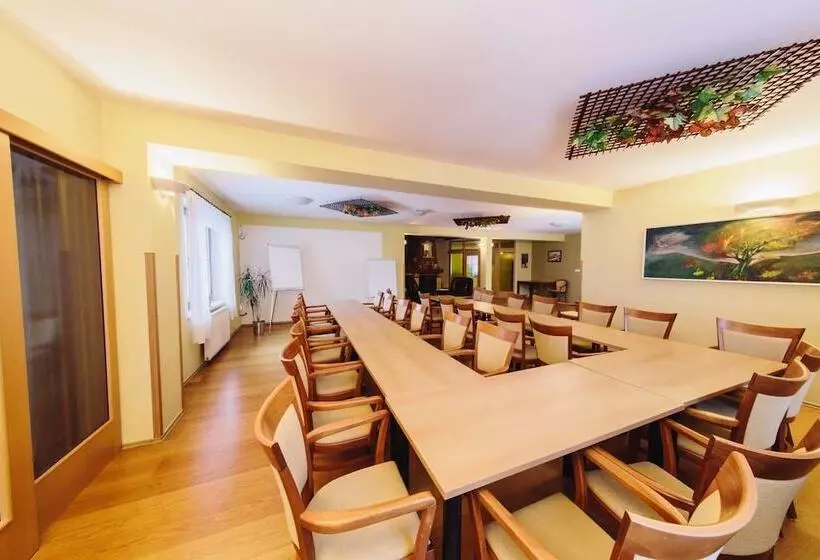 Wellness Hotel Vyhlídka