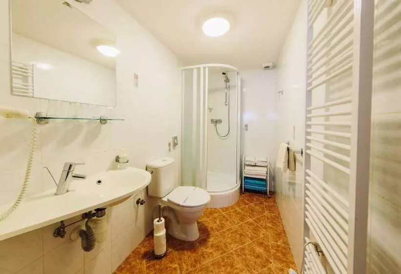 Wellness Hotel Vyhlídka