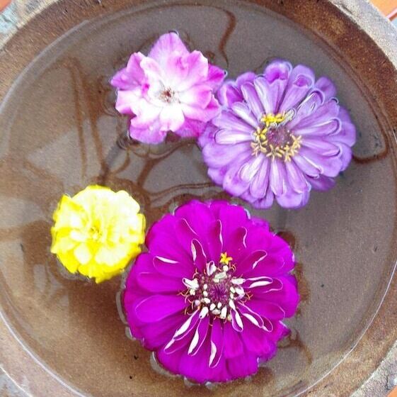 Otel Yangshuo Zen Valley