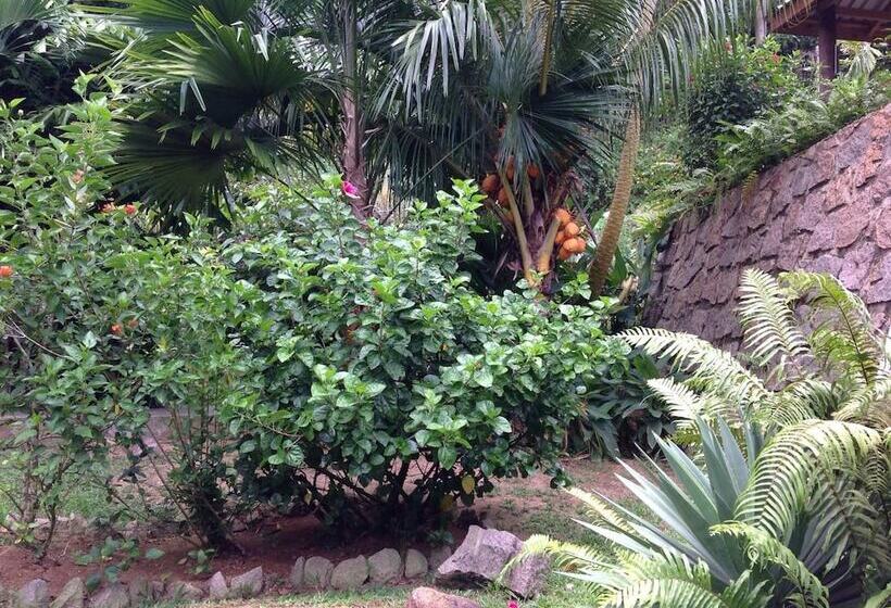 پانسیون A Peace In Paradise