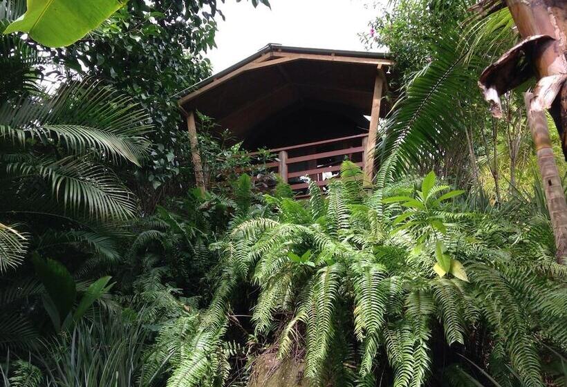 پانسیون A Peace In Paradise