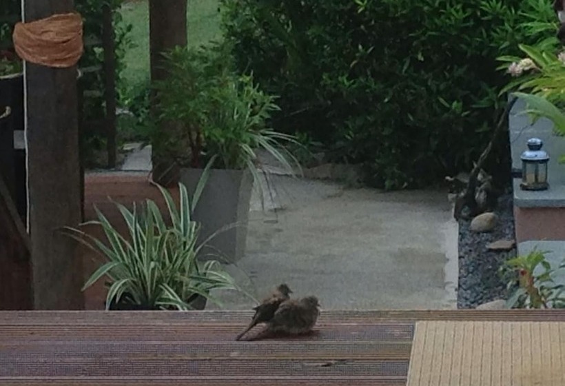 پانسیون A Peace In Paradise