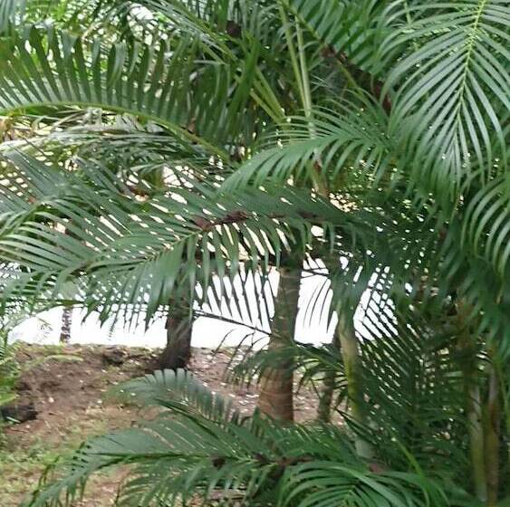 پانسیون A Peace In Paradise